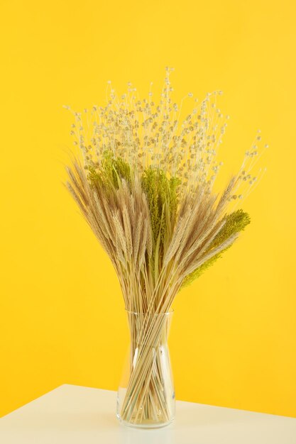 Flores secas do conceito de Hygge contra o fundo amarelo