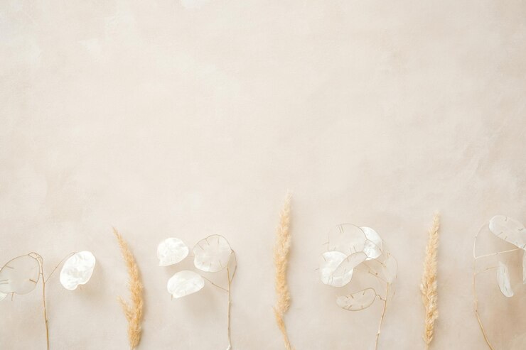 Flores secas em pano de fundo bege pastel Espaço de cópia de fundo floral minimalista