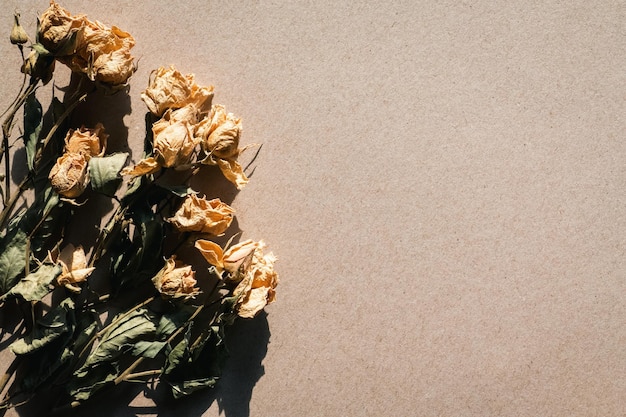 Flores secas em papel de papelão bege textura luz e sombra retrô espaço de cópia de fundo