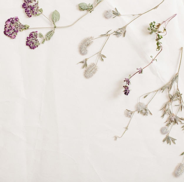 flores secas em papel velho amassado
