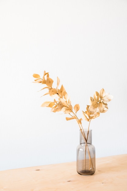 Flores secas em um vaso de vidro com uma parede de luz vazia