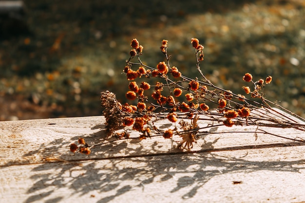 Flores secas estão sobre a mesa, no contexto de uma floresta de outono. foco seletivo. o conceito de um outono quente.