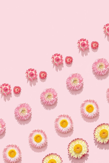 Flores secas naturales pequeña flor rosa en patrón pnik suave Diseño floral con planta natural