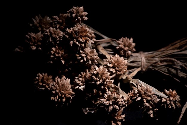 Flores secas utilizadas en la decoración del restaurante.