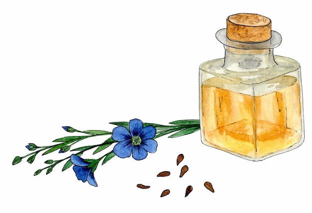 Flores y semillas de lino de aceite de linaza Dieta de alimentos saludables y productos cosméticos Aislado sobre fondo blanco dibujo de acuarela