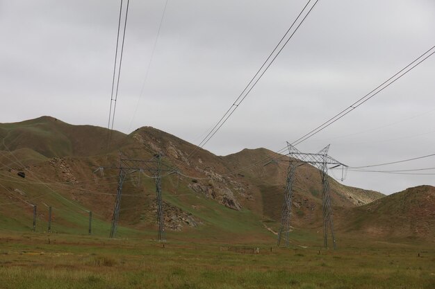 Flores silvestres alrededor de postes eléctricos en el Monumento Nacional Carrizo Plain y el lago Soda