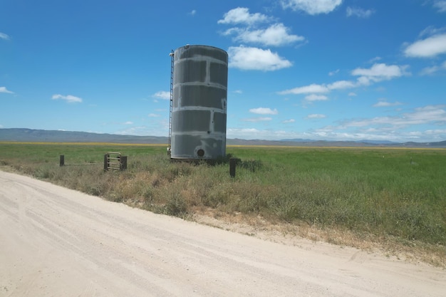 Flores silvestres alrededor del tanque de agua en el Monumento Nacional Carrizo Plain y el lago Soda