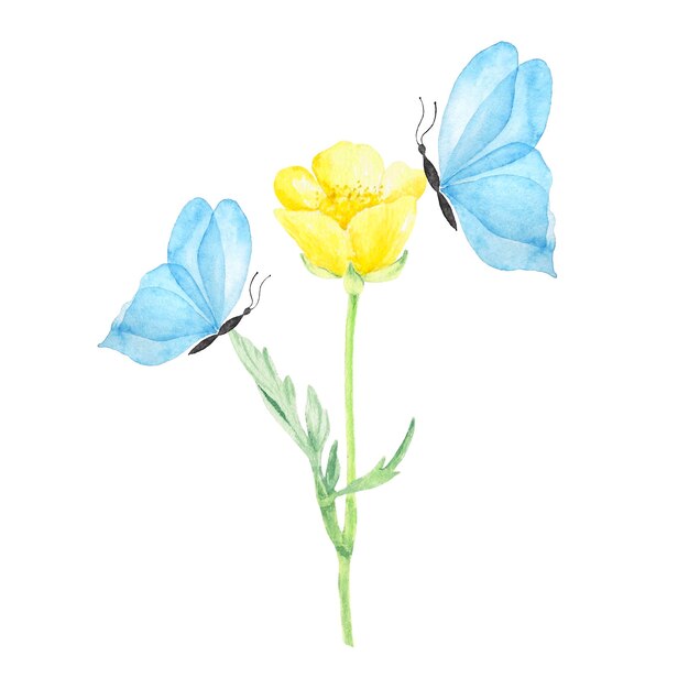 Flores silvestres amarelas de sublimação de aquarela e borboleta azul desenhadas à mão para uso em cartão de design de arte