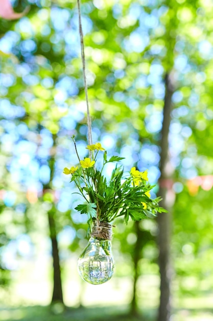 Flores silvestres amarelas em um bulbo com vaso de água com plantas floridas penduradas em uma corda Parque de decoração