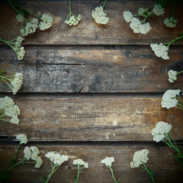 Flores silvestres brancas são dispostas em círculo em um fundo de mesa de madeira Inflorescências Yarrow Tábuas horizontais Romântica Provence estilo rústico