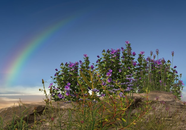 flores silvestres e ervas no pôr do sol e mar rosa azul amarelo azul céu nublado sol arco-íris