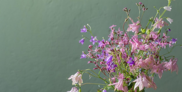 Flores silvestres em bocal verde na parede verde de fundo