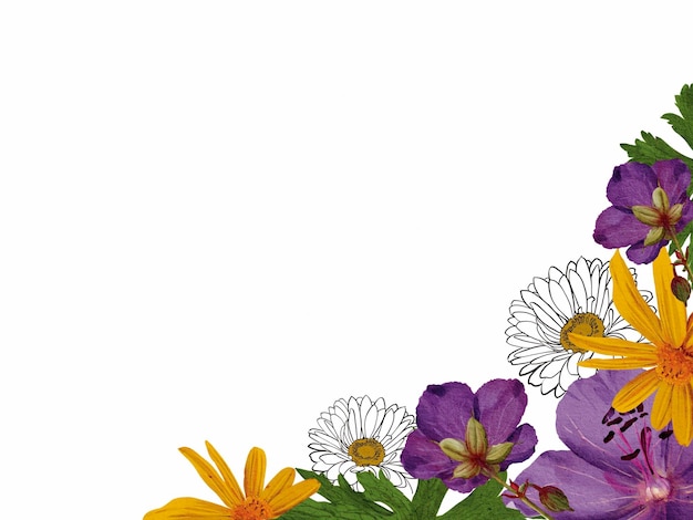 flores silvestres ilustración de acuarela botánica aislada en fondo blanco para tarjeta