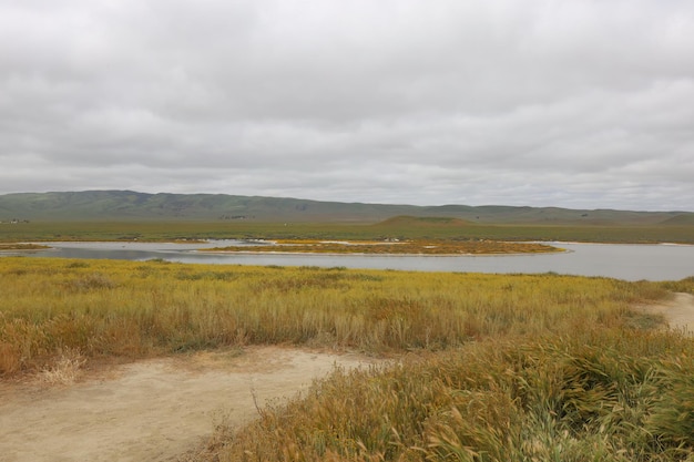 Flores silvestres en el Monumento Nacional Carrizo Plain y el lago Soda