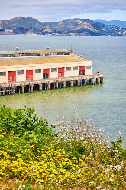 Flores silvestres na costa com vista para o cais do armazém na Baía de São Francisco