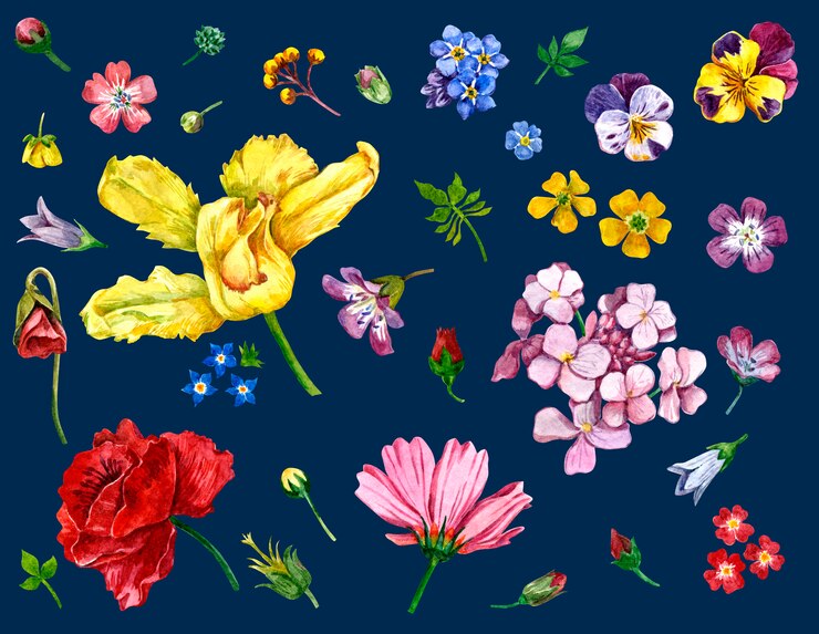 flores silvestres pintadas en acuarela sobre oscuro