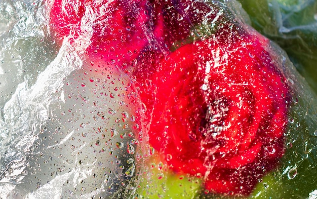 Flores sob um filme com gotas de água uma imagem de fundo ou um protetor de tela