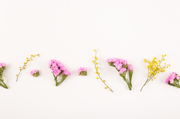 Flores sobre un fondo blanco - hola primavera y hola verano.