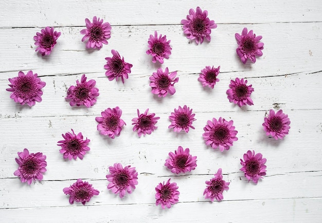 Flores sobre fondo blanco