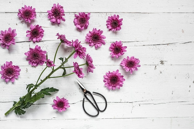 Flores sobre fondo blanco