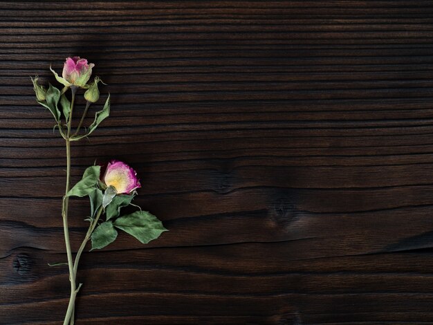 Flores sobre fondo de madera oscura, endecha plana