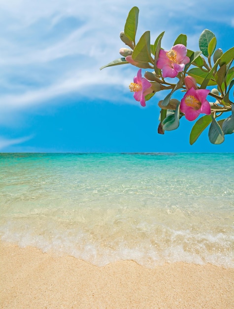 Foto flores sobre uma praia dourada