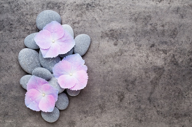 Foto flores de spa y piedra de masaje sobre fondo gris