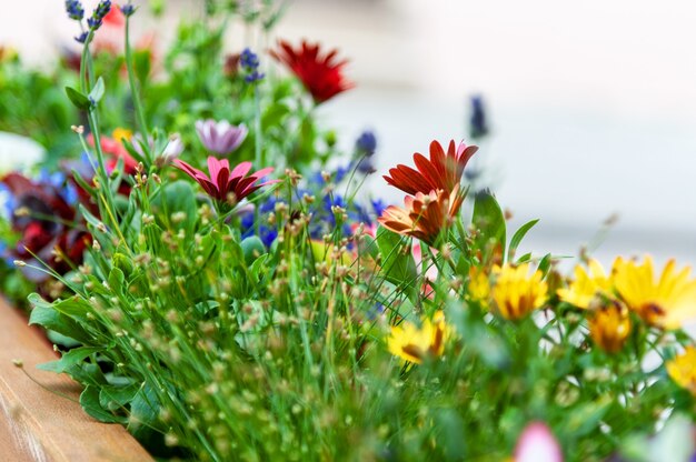 Flores en la terraza del restaurante