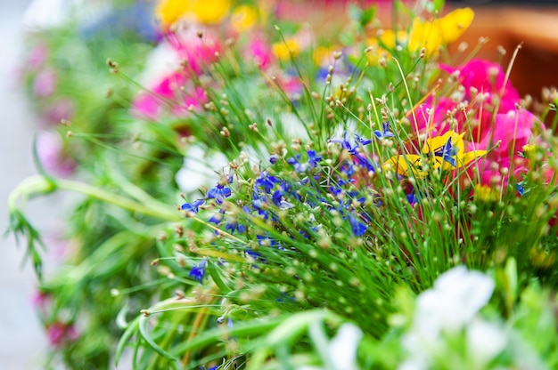 Flores en la terraza del restaurante