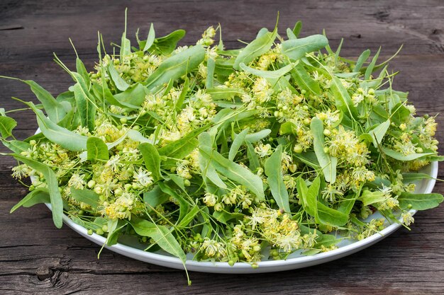 Flores de tilo en un plato grande para la medicina herbaria