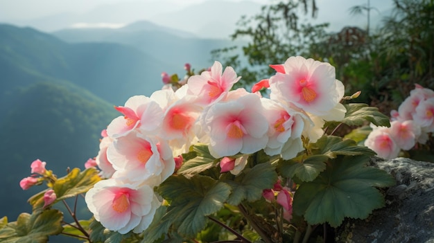Flores de la tradición china que florecen en una montaña