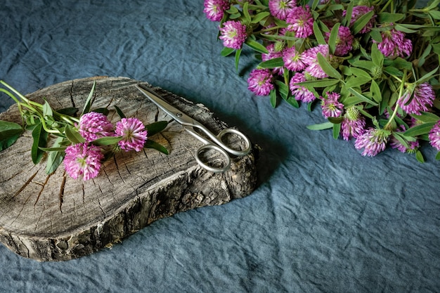 Flores de trébol rosa y tijeras en una rodaja de madera