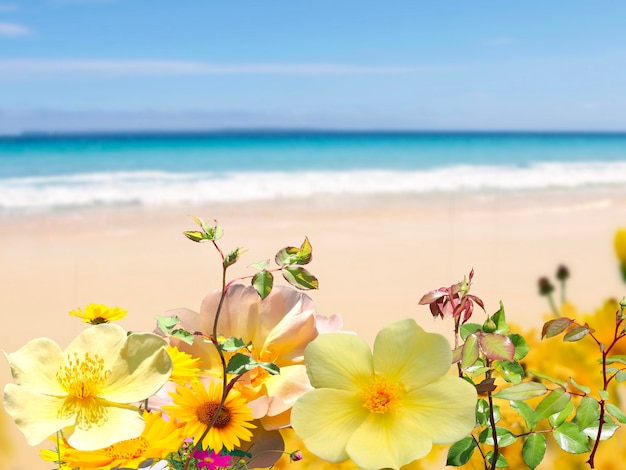 flores tropicais e folhas de palmeira na praia, céu azul, feriado