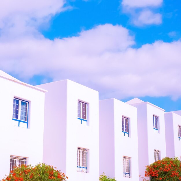 Foto flores tropicales y arquitectura tradicional viajes a las islas canarias concepto de vacaciones de verano