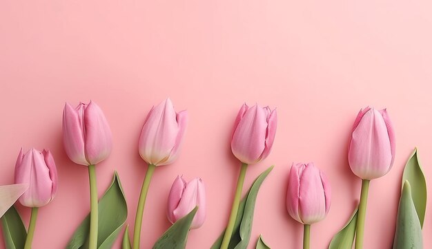 Flores tulipa fundo rosa Banner mínimo de verão Conceito de natureza primavera verão Elemento de design floral Fundo rosa Cartaz de convite de casamento Generative Ai