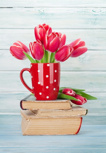 Flores tulipa vermelha