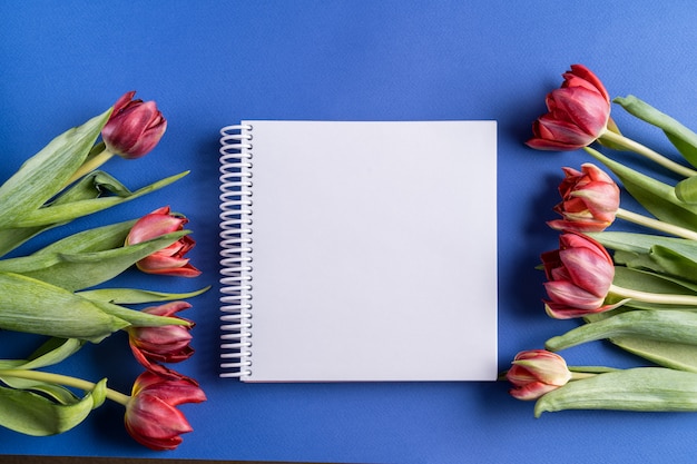 Flores de tulipán de primavera y cuaderno sobre fondo azul