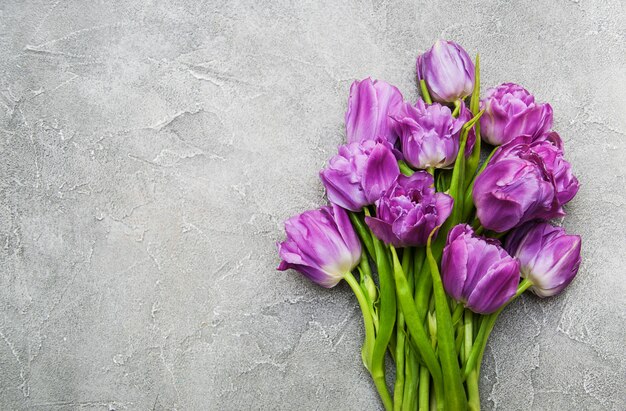 Flores de tulipán de primavera