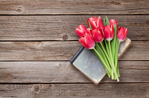 Flores de tulipán rojo