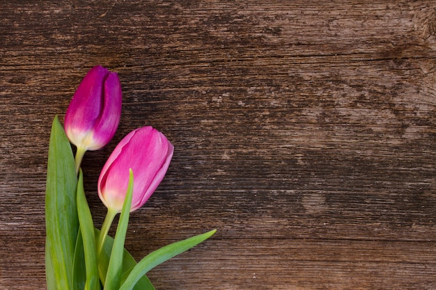 Flores de tulipán rosa y morado en mesa de madera