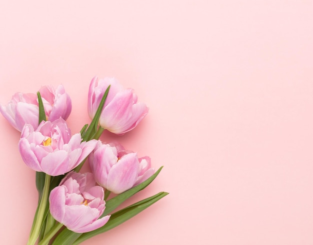 Flores de tulipán rosa sobre fondo pastel