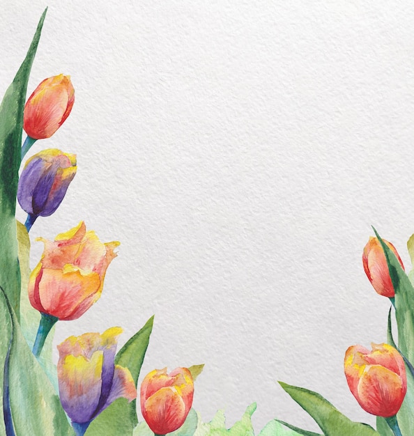 Flores de tulipán sobre un fondo de textura de papel de acuarela