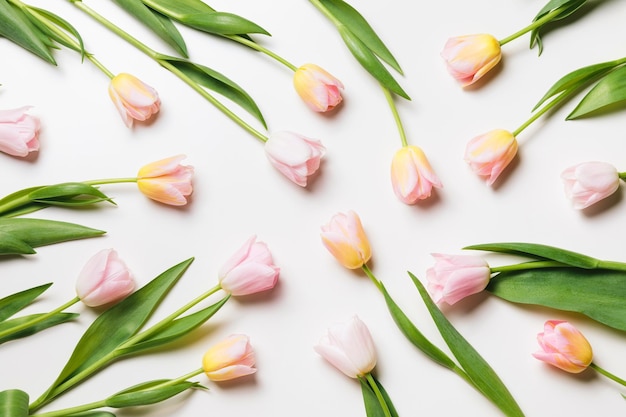 Las flores de los tulipanes de color rosa claro y amarillo florecen con un toque floral mínimo