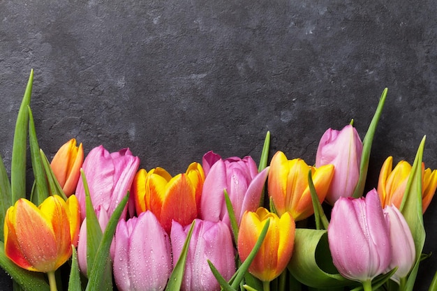 Flores de tulipanes de colores frescos
