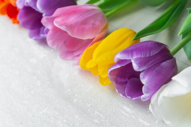 Flores de tulipanes naranjas y blancos amarillos violetas brillantes sobre fondo gris texturizado Enfoque selectivo