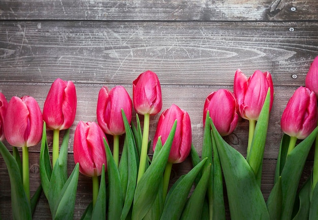 Flores de tulipanes de primavera sobre un fondo de madera antiguo