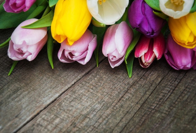 Flores de tulipanes de primavera