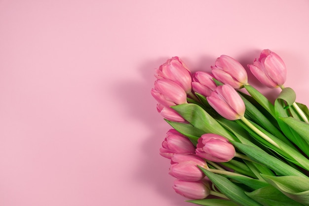 Flores de tulipanes rosa sobre fondo rosa. Tarjeta para el día de las madres, 8 de marzo, felices Pascuas, San Valentín, cumpleaños. Esperando la primavera. Tarjeta de felicitación. Vista plana endecha, superior, espacio de copia para texto