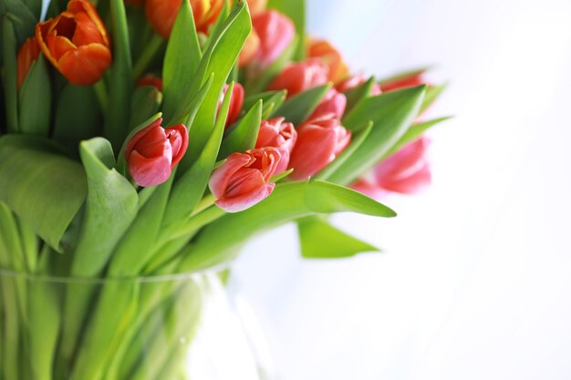 Flores, vacaciones de primavera y concepto de decoración del hogar - Ramo de hermosos tulipanes, fondo floral