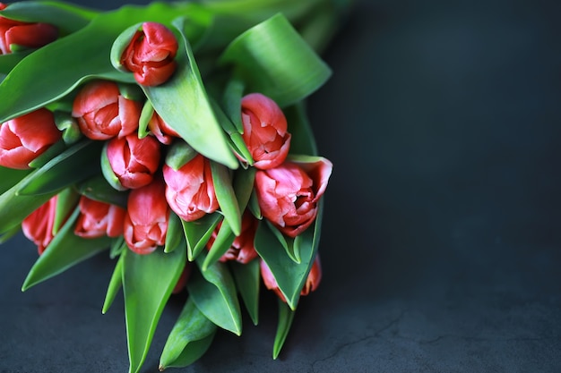 Flores, vacaciones de primavera y concepto de decoración del hogar - Ramo de hermosos tulipanes, fondo floral